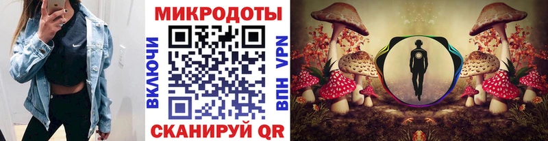 Галлюциногенные грибы MAGIC MUSHROOMS Купить закладки Гаджиево
