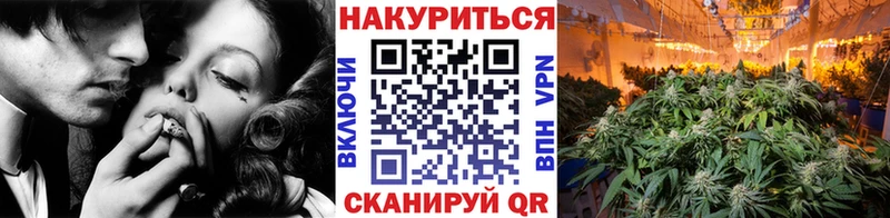 Купить закладки  Гаджиево  Конопля AK-47 